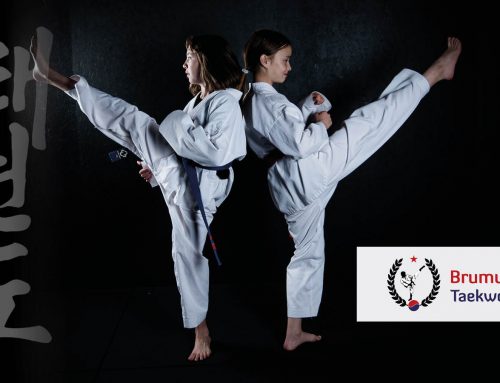 Er Taekwondo noe for deg?
