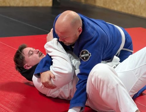 Timeplan kampsport på Fønix våren 2026