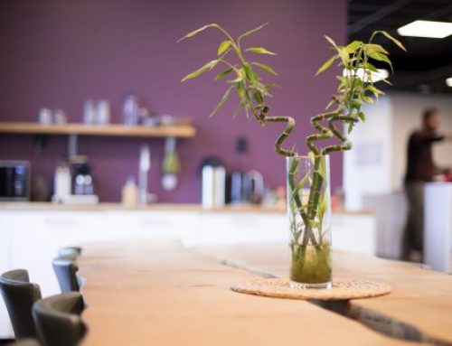 Er du vår nye servicearbeider på Torghjørnet?