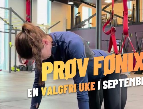 Prøv Fønix en uke GRATIS!